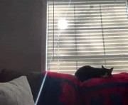 Profile picture of sammieplays