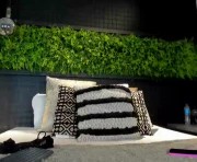 Profile picture of samantha_hotly