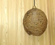 Profile picture of alfred_walker