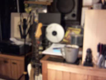 Profile photo of yellowsnakes