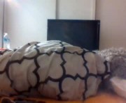 Profile picture of eyelyke2kream