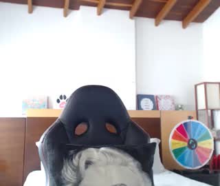 Profile photo of alejandhra