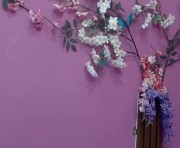 Profile picture of skinnybarbie022