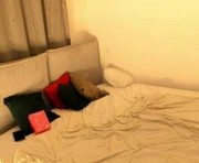 Profile picture of prism_forge