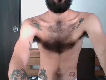 Profile photo of matheusbeard2