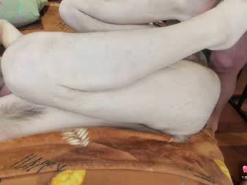 Profile photo of bear_in_mind