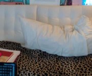 Profile picture of ayanadelatorre