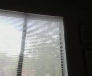 Profile picture of lilylovelue222