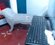 Profile picture of laura_hot03