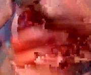 Profile picture of gatinhow82