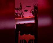 Profile picture of toyshop_gonewild