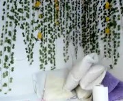 Profile picture of violeta_miler_