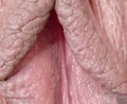 Profile picture of orchidekitty