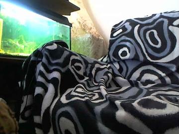 Profile photo of asshunnter