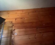 Profile picture of bbcnews94